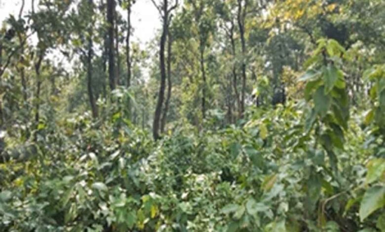 उत्तराखंड विधानसभा के बजट सत्र से दौरान सदन में सीएजी की रिपोर्ट की गई पेश, वित्तीय अनियमितताओं का हुआ खुलासा