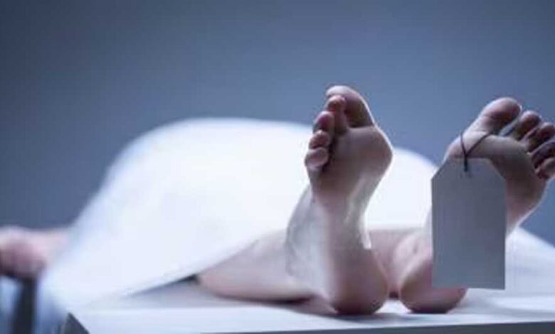 मध्य प्रदेश में 11.26 करोड़ का सांप घोटाला उजागर, सिवनी जिले में फर्जी सर्पदंश मृत्यु दावों से ठगी