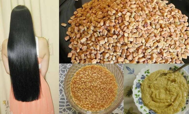 बालों पर लगाएं मेथी दाना वाला हेयर मास्क, हर कोई पूछेगा लंबे-घने बाल पाने की ट्रिक
