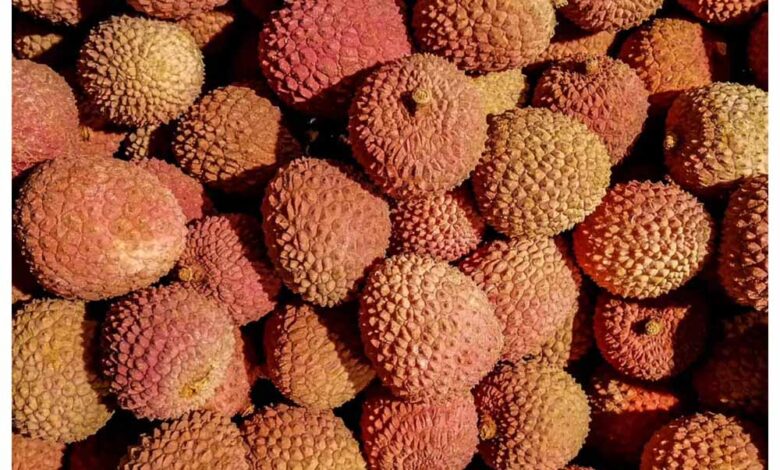 लीची का भरपूर मजा लें, करेगी रोगमुक्त – Khabar Jagat