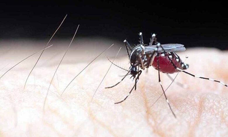 कोरोना के बाद अब नए वायरस का हमला! दुनियाभर में 2 लाख लोग संक्रमित