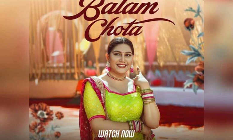 सपना चौधरी की तस्वीरों से मिले संकेत, जल्द आएगा नया गाना या फिल्म?