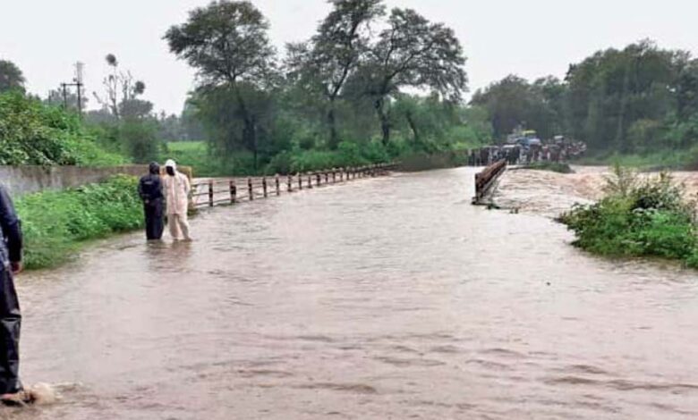 एमपी में फिर लौटेगा मानसून का तेवर, 3-4 अगस्त को भारी बारिश का अलर्ट; भोपाल-इंदौर में आज भी बूंदाबांदी