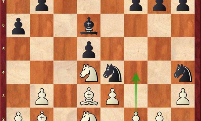 चेन्नई में शह और मात के खेल में उतरेंगे 19 ग्रैंड मास्टर्स – Khabar Jagat