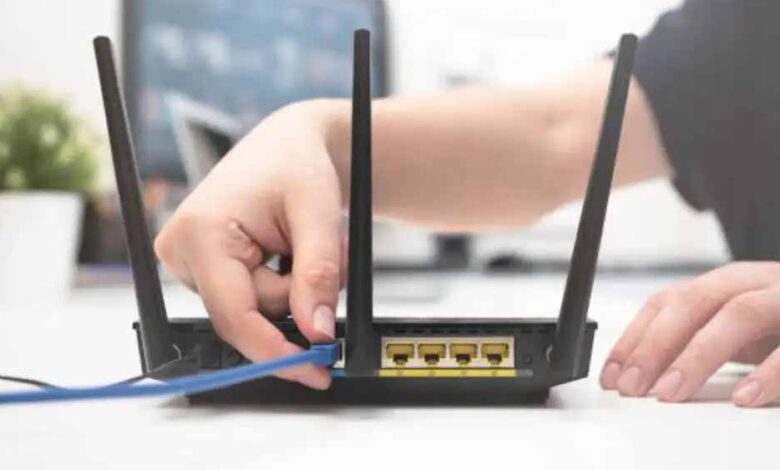 घर में इंटरनेट धीमा? हो सकता है पौधे ही रोक रहे हों WiFi सिग्नल!