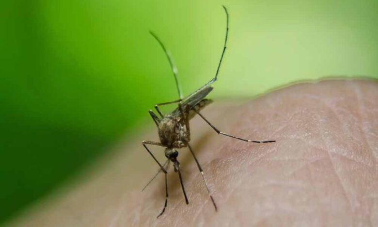 बचाव और इलाज की हर जानकारी – Khabar Jagat