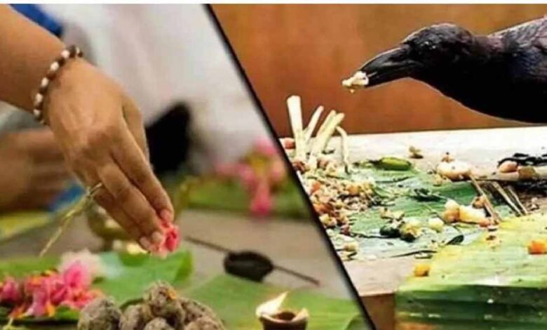 श्राद्ध में कौवे ने नहीं लिया भोग? जानें पंचबलि भोग का महत्व और सही तरीका