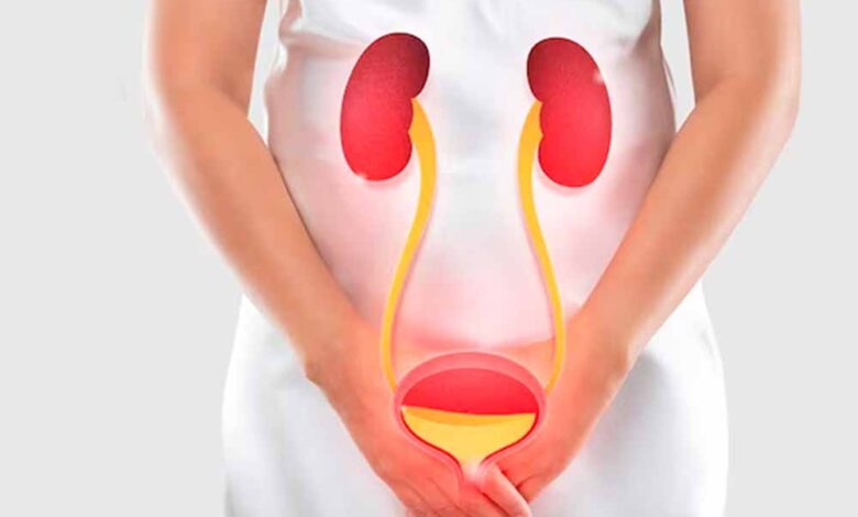 यूटीआई और हार्ट अटैक का खतरनाक कनेक्शन, वैज्ञानिकों ने किया चौंकाने वाला खुलासा