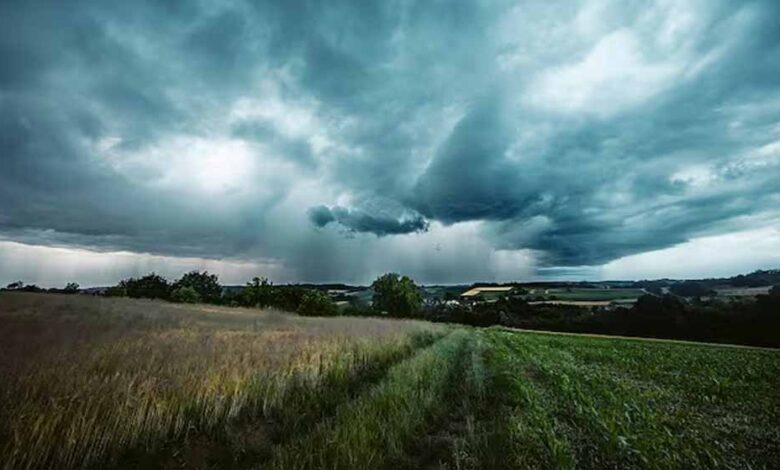 सितंबर में सामान्य से ज्यादा बरसात, किसानों को इन फसलों पर रखनी होगी नजर