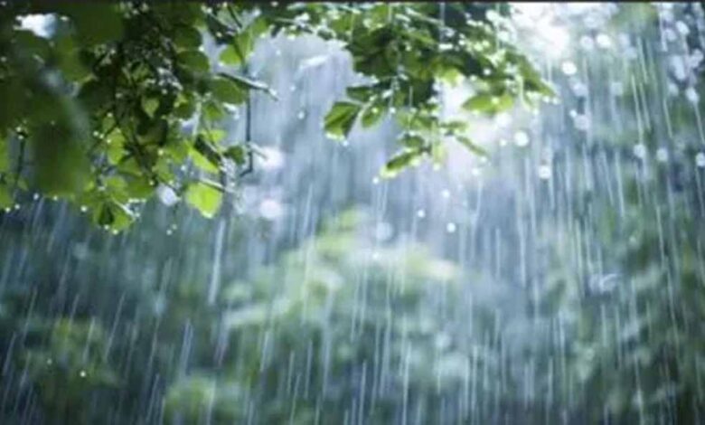 मानसून का आखिरी धमाका! 13-18 सितंबर तक इन राज्यों में भारी बारिश, IMD की ताज़ा चेतावनी