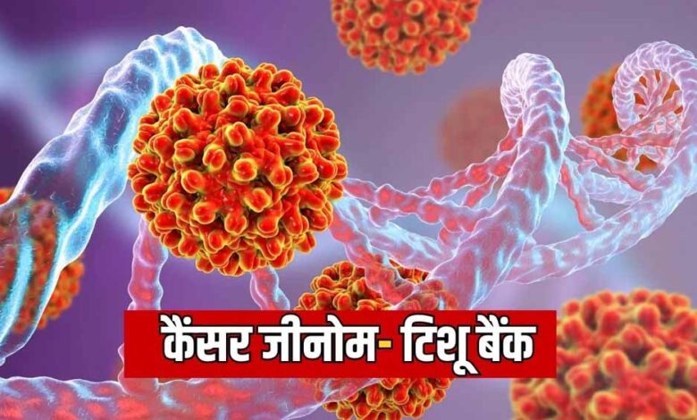 कैंसर जीनोम और टिशू बैंक से बदल सकता है इलाज का तरीका – Khabar Jagat
