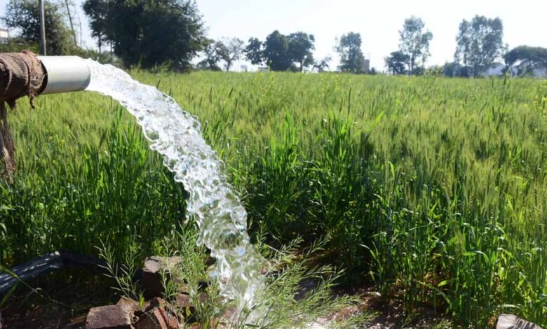 रबी सीजन में निर्बाध एवं गुणवत्तापूर्ण विद्युत आपूर्ति की व्यवस्था