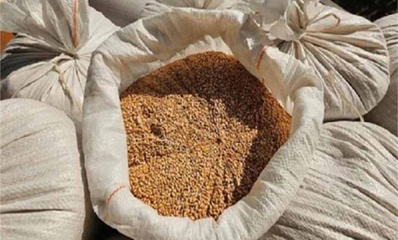 पंजाब ने रोकी गेहूं की सप्लाई, KP में दाम 68% तक बढ़े – Khabar Jagat