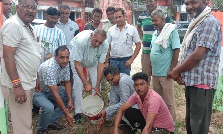 नगरीय निकायों में शुरू हुआ सेवा पखवाड़ा – Khabar Jagat