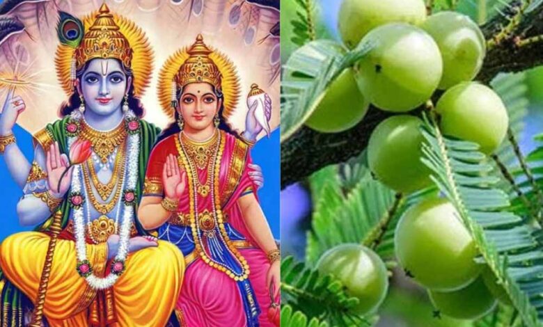 आंवला नवमी पर करें ये शुभ कार्य, जीवन में कभी नहीं आएगी धन और शांति की कमी