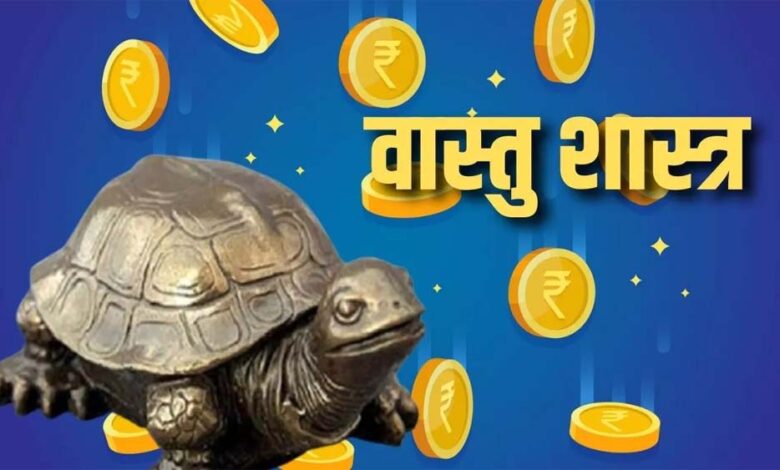 घर में कछुआ रखने से खुलते हैं सुख-समृद्धि के द्वार, जानें सही वास्तु नियम
