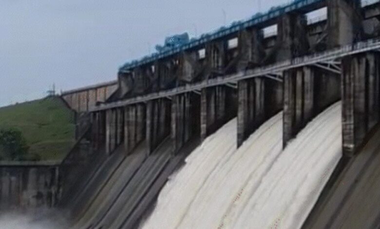 तवा डैम का जलस्तर बढ़ा, 3 गेट खोले; 19,778 क्यूसेक पानी छोड़ा, गुना-श्योपुर में फसल प्रभावित