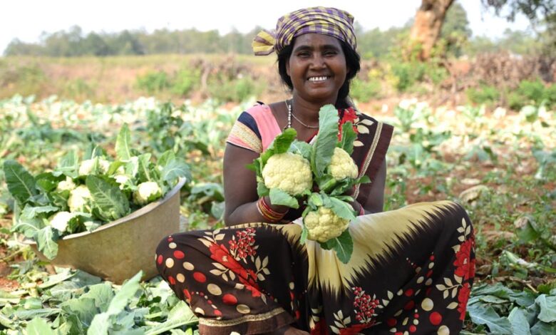 जनजातीय वर्ग के वन-भूमि पट्टेधारी किसानों को सब्जियों के उत्पादन पर मिलेगा विशेष अनुदान