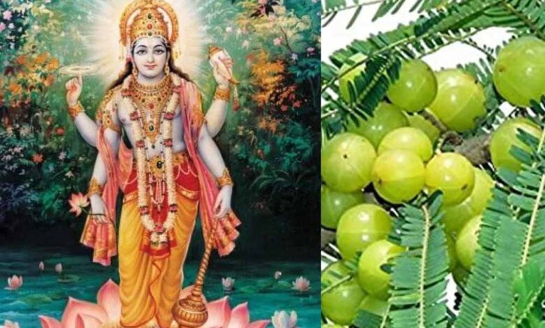 जानें सही तिथि, पूजा विधि और शुभ मुहूर्त में करें ये खास उपाय – Khabar Jagat