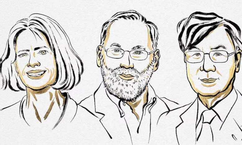 मेडिसिन का नोबेल मैरी ई. ब्रंकॉ, फ्रेड रैम्सडेल और शिमोन साकागुची को मिला – Khabar Jagat