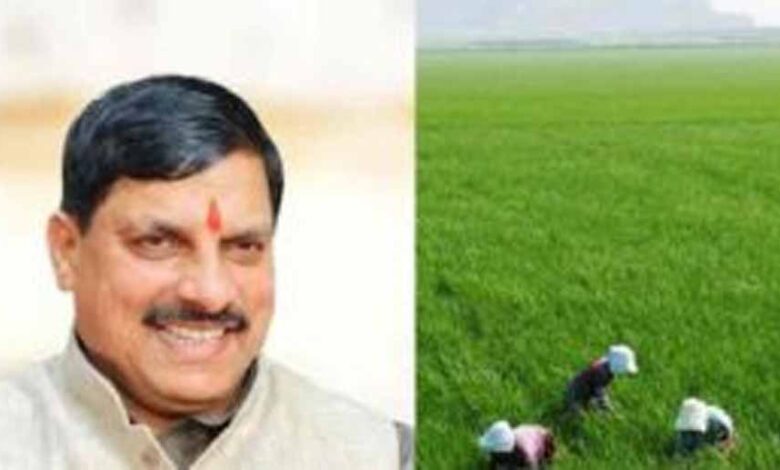 धनतेरस पर किसानों को बड़ा तोहफा! सरकार करेगी मुआवजे की धनवर्षा