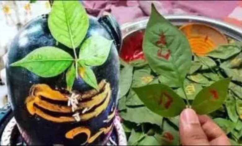 शिवलिंग पर ऐसे चढ़ाए बेलपत्र, खत्म होगी धन संबंधी दिक्कत