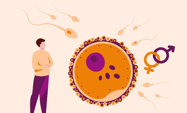 सिर्फ सिगरेट और शराब नहीं, ये कारण भी बना रहे पुरुषों को नामर्द