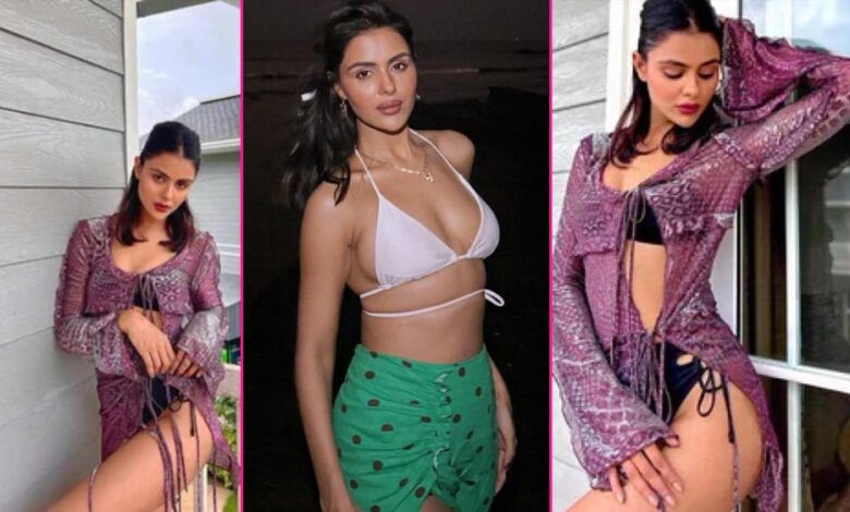 प्रियंका चाहर चौधरी बनेंगी नई ‘नागिन’, 2016 का यादगार पल याद किया