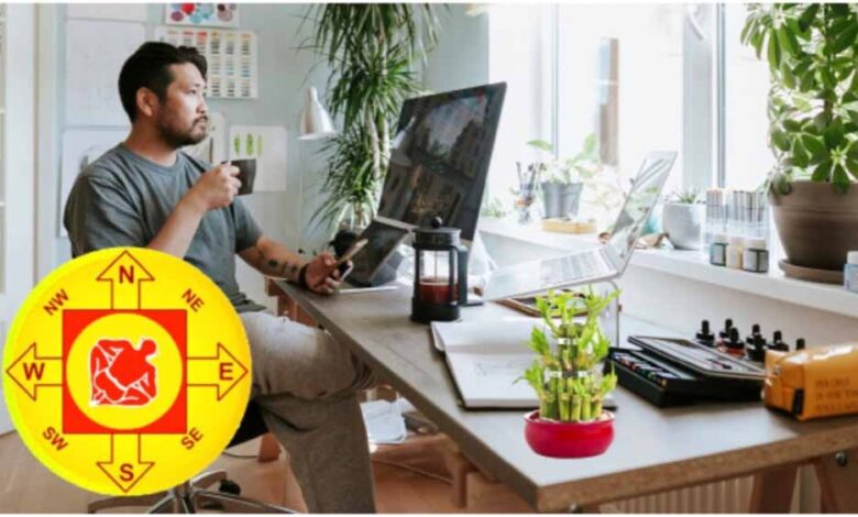 ऑफिस टेबल पर ये पौधे ला सकते हैं बदकिस्मती! प्रमोशन रुकने के पीछे हो सकता है इनका हाथ