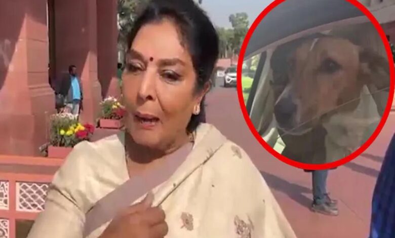 संसद में कार में पालतू कुत्ता लेकर पहुंचीं रेणुका चौधरी, बोलीं- ‘अंदर वाले काटते हैं, मेरा कुत्ता नहीं’
