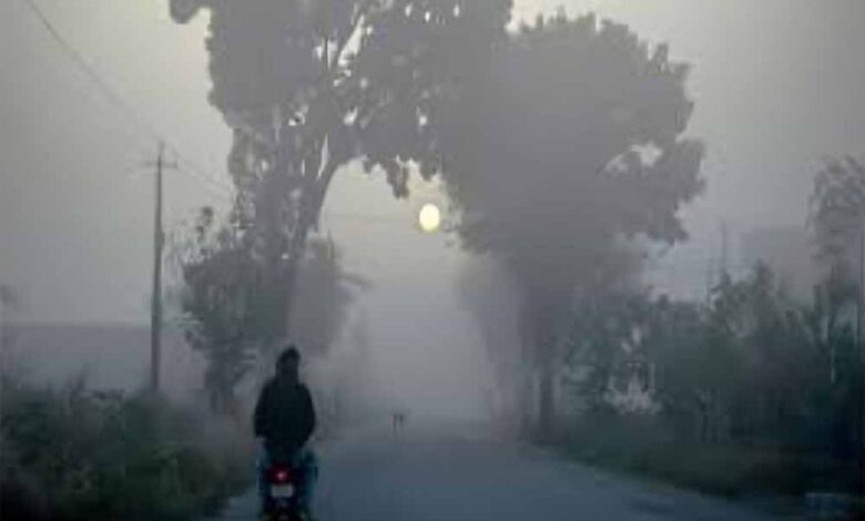 उत्तर भारत में कड़ाके की ठंड! दिल्ली में गिरा पारा, IMD ने जारी किया 48 घंटे का अलर्ट