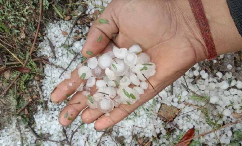 बारिश, ओले, कोहरा और बिजली गिरने का अलर्ट, मुंबई से दिल्ली तक रखें सावधानी