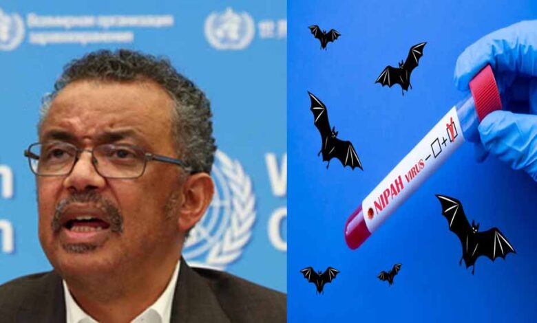 ‘निपाह एक दुर्लभ लेकिन गंभीर बीमारी’, डब्ल्यूएचओ प्रमुख ने कहा- मामले सिर्फ भारत तक सीमित